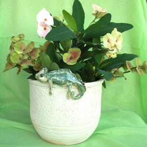 Può includere: Un vaso di ceramica bianca con superficie testurizzata, contenente una pianta verde con fiori bianchi e rosa. Un camaleonte di ceramica verde è appollaiato sul bordo del vaso.