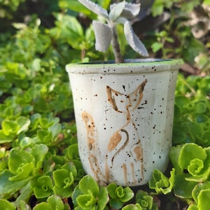 Può includere: Vaso in ceramica bianca con finitura macchiata e un'illustrazione di un gatto marrone. Il vaso è riempito con una piccola pianta verde.