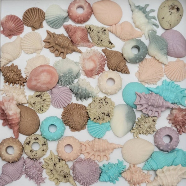 Sea Shell Soap - Etsy