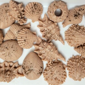 May include: An assortment of beige seashell-shaped soaps with dark speckles. The soaps vary in shape, including conch shells, scallops, and sea urchins. The soaps are arranged on a white surface, creating a coastal theme.
