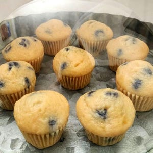 Blueberry Muffin Soap - Mini Muffins - Set of 4