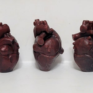Anatomical Heart Soap - Black Rose