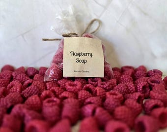 Raspberry Soap - Set of 30 - Mini Soap - Fruit Soap