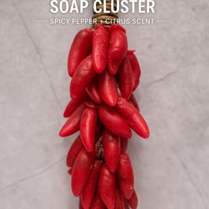 Chili Pepper Soap - Hanging Soap - Natural Bath Decor - Herbal Scent -  8oz - Gift Ready