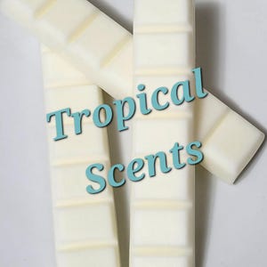 Tropical Scents - Large Snap Bar - Soy Wax Melt - Snap Bar - *Buy any 5 get 1 Free*
