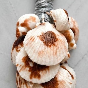 May include: A cluster of seashells, featuring a mix of scallop and other shell types, in shades of white and brown. The shells are attached to a gray rope, creating a decorative hanging ornament. The shells have a natural, textured appearance.
