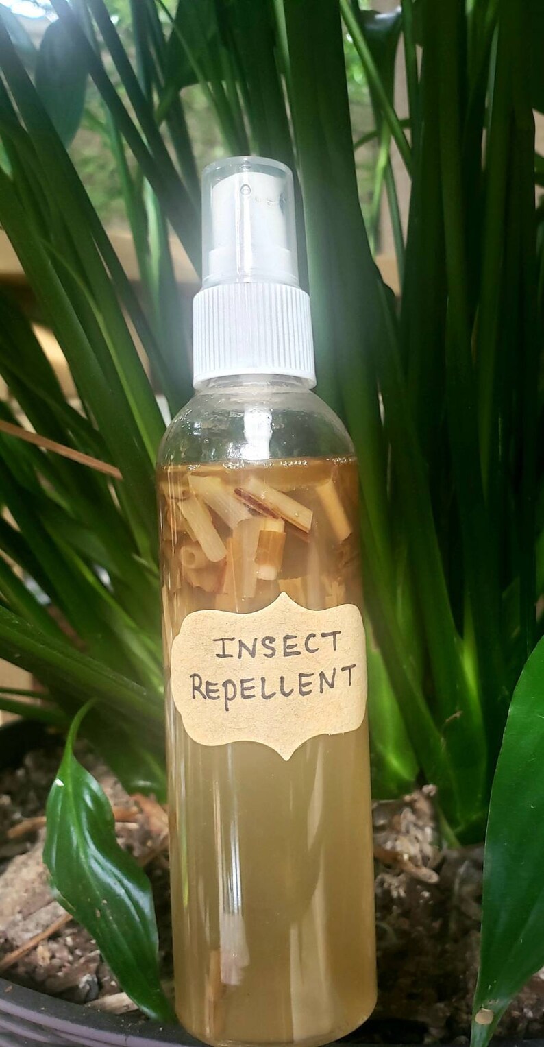 100 Natural Wasp&Insect Repellent 2.7oz Etsy