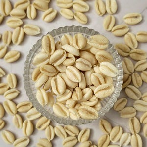 May include: A glass bowl filled with white cowrie shells, surrounded by more shells on a white surface.
