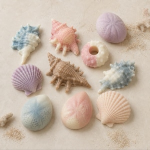 Sea Shell Soaps: Two-Toned Beach Decor, Set of 7