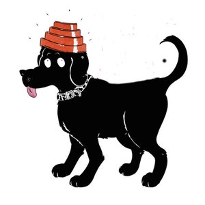 Puede incluir: Un perro negro con un juguete apilable rojo y naranja en la cabeza. El perro tiene una expresión de sorpresa y su lengua está fuera.