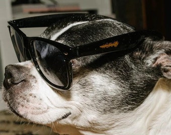 DEATHBUSTER! Sunglasses