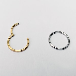 0,8mm(20g) Titan Nasenpiercing Segmentring Septum Nase Ring Brust Lippen Scharnier Clicker sehr dünner 8mm(5/16") 6mm (1/4") gold silber