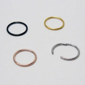 0,8 mm (20 g) titane nez piercing segment anneau septum nez anneau poitrine lèvre charnière clicker très fin 8 mm (5/16") 6 mm (1/4") or argent