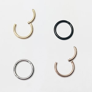 Nose Ring Nose Piercing Septum Ring Segment Ring Breast Lip Ear Hinge Clicker Surgical Steel Rose Gold Black Silver Gold 14g 16g 18g