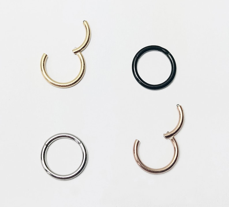 Nasenring Nasenpiercing Septum Ring Segmentring Brust Lippe Ohr Scharnier Clicker Chirurgenstahl Rosegold schwarz silber gold 14g 16g 18g Bild 1