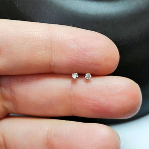 kleine titanium CZ-oorbellen minimalistische oorbel kristal zirkonia nikkelvrij hypoallergeen oorpiercing oorschelppiercing zilver 2 mm