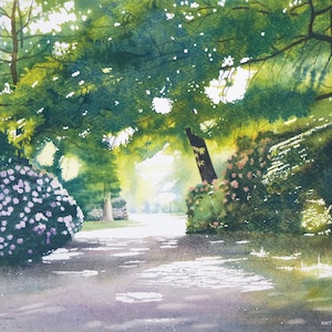 Giclée Landscape Print, Rhododendrons in Park