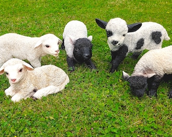 Muwse Lamm Schaf Ziege echt aussehend Dekotiere Gartendeko Terrasse Balkon Gartenfigur Tierfigur Garten Kunststein handbemalt wetterfest