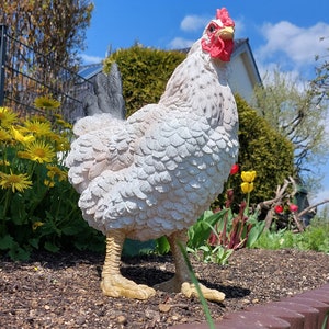 Muwse Deko 1 x Henne weiß 28x17x36cm Huhn Hahn Kunststein Statue handbemalt wetterfest Poly Terrasse Balkon Garten Bauernhof echt Aussehend Bild 2