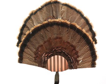 hand fan kit