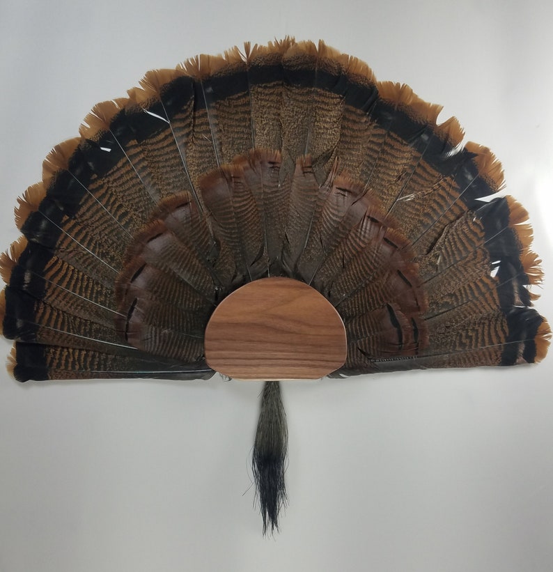 Turkey Fan and Beard Display Mount walnut Etsy