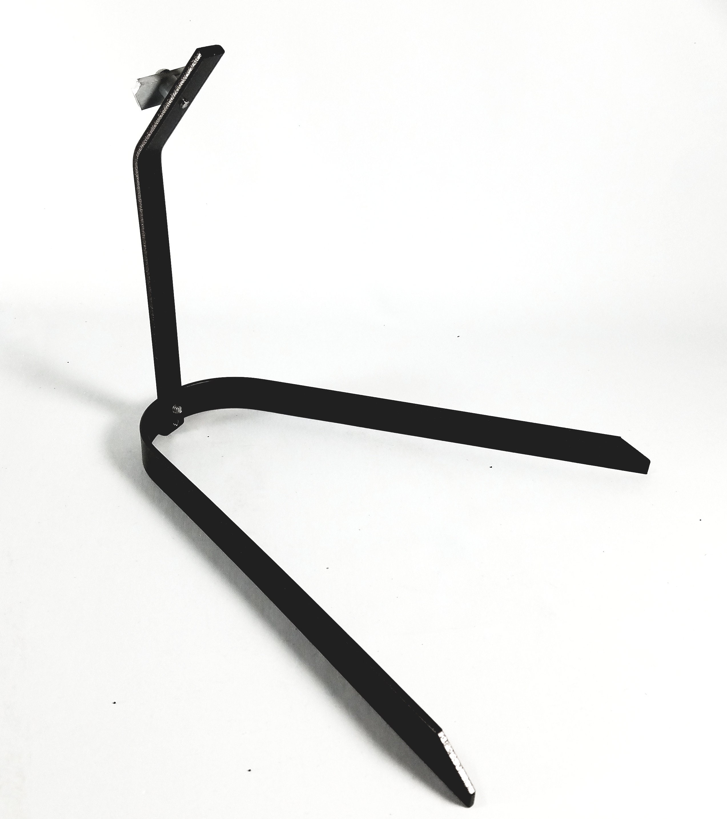 European Skull Mount Table Top Display Etsy