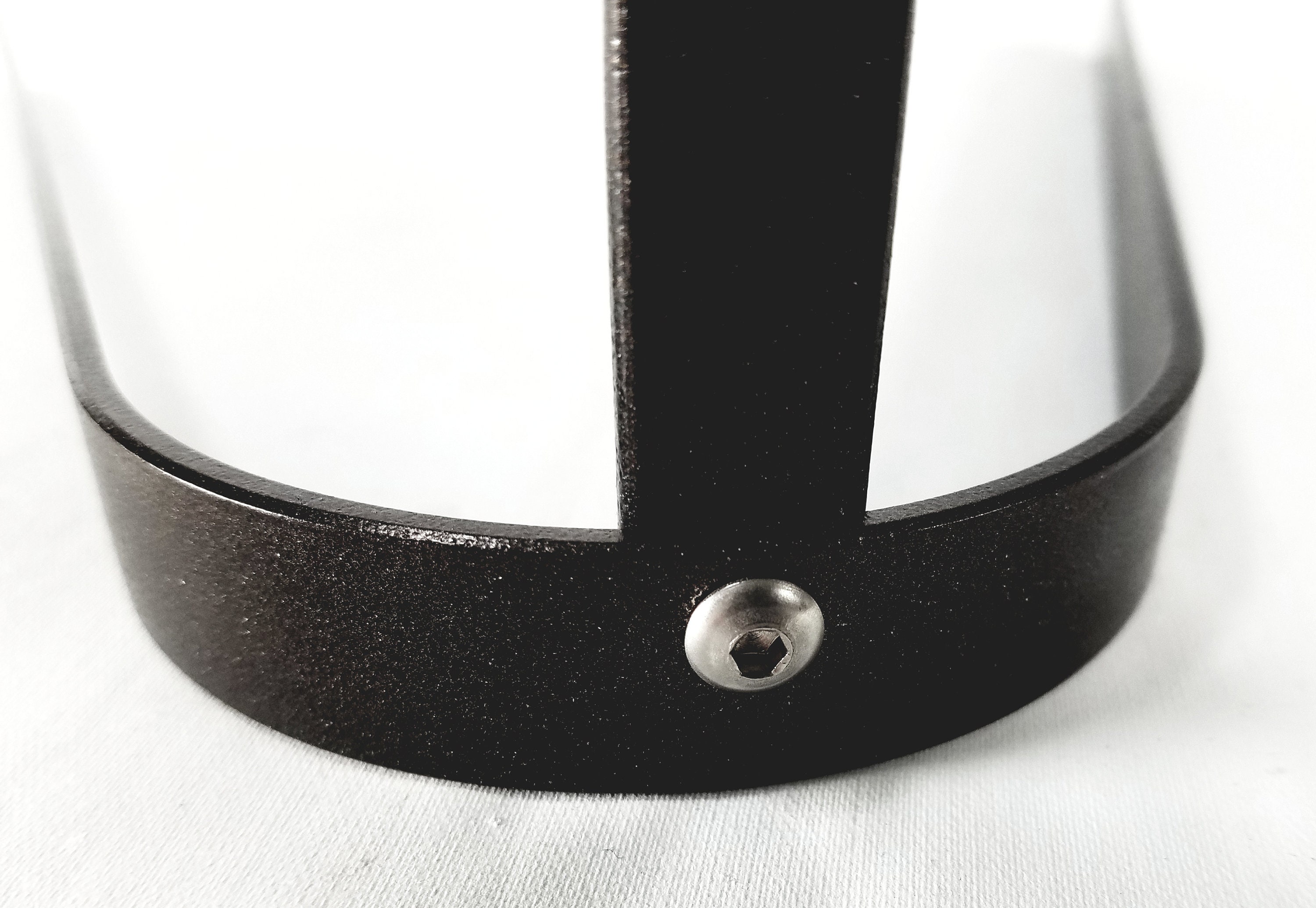 European Skull Mount Table Top Display Etsy