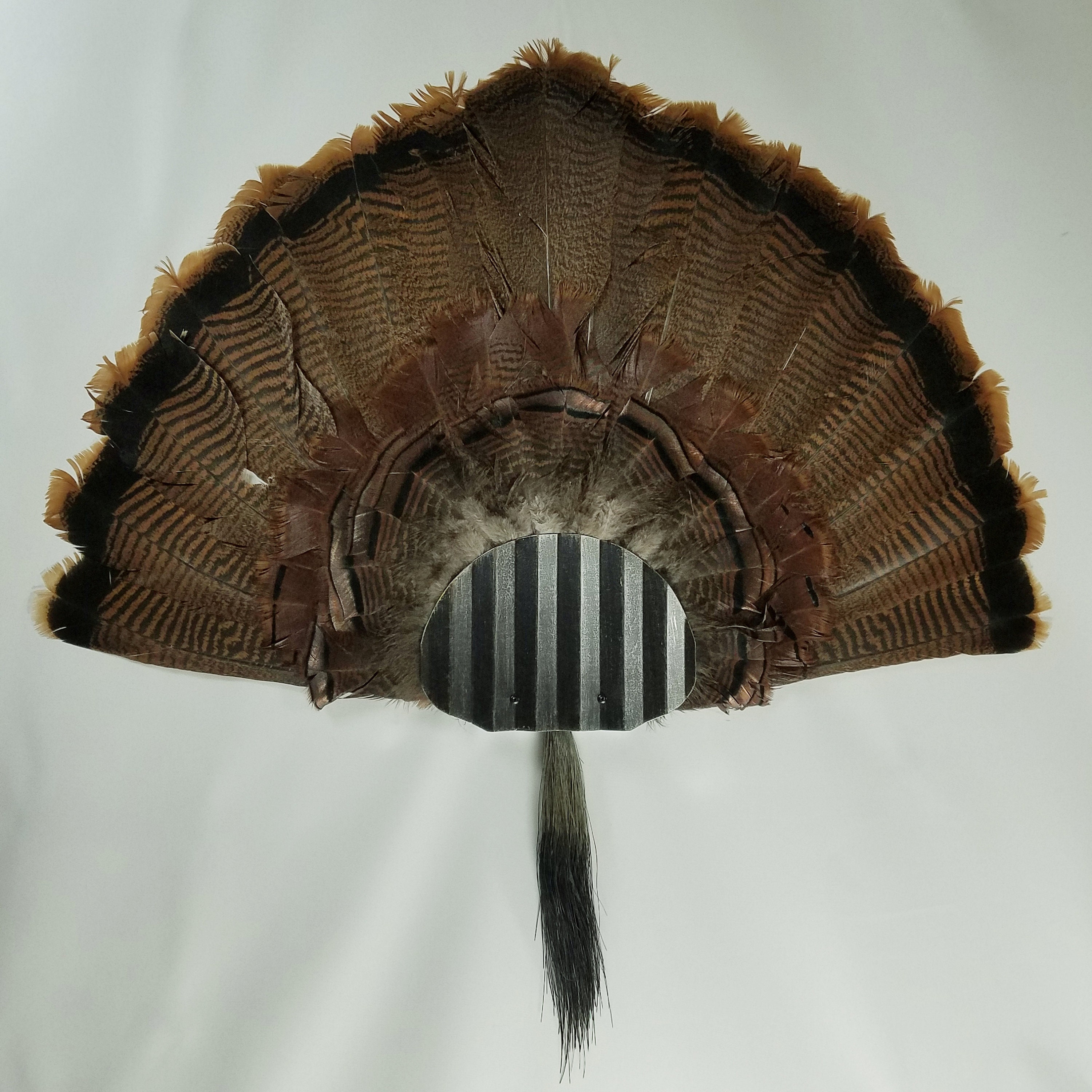 Turkey Fan and Beard Mounting Kit distressed Black Etsy