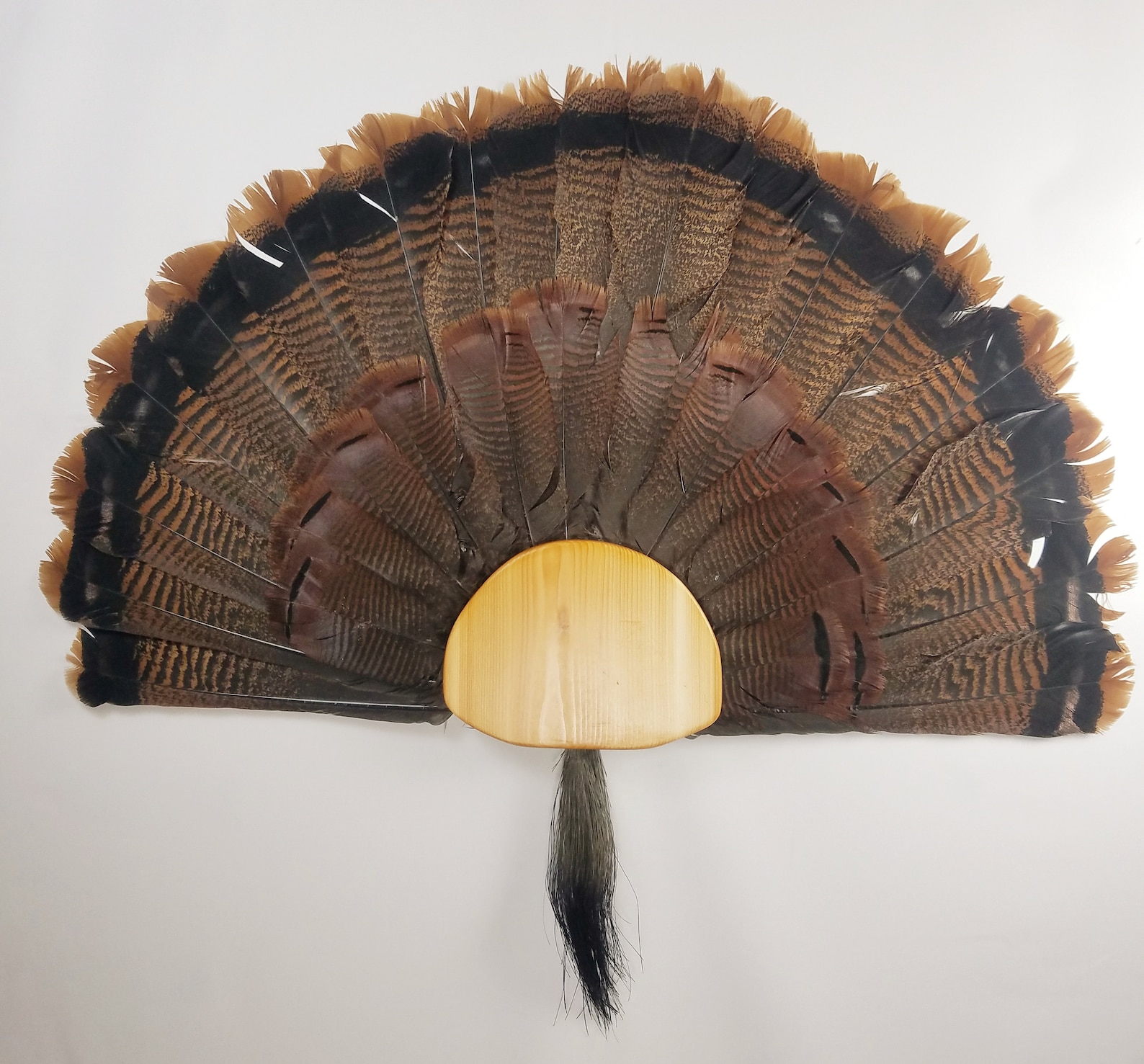 Turkey Fan and Beard Display Mount Select Cedar Etsy