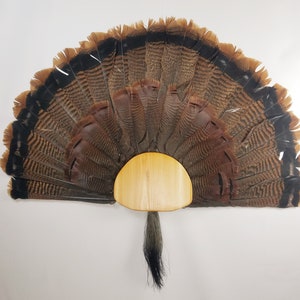 Turkey Fan and Beard Display Mount (Select Cedar)