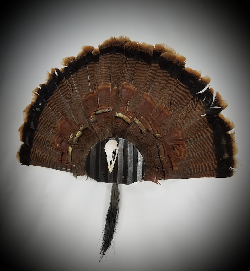 Turkey Fan and Beard Mount Kit With Skull Hangers black Etsy