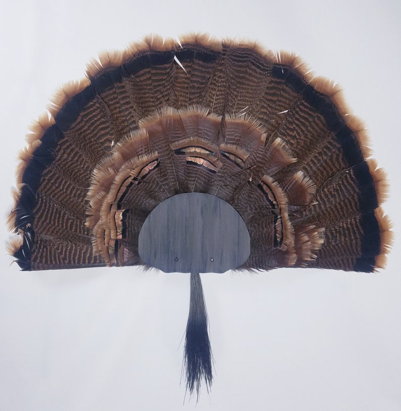 Turkey Fan and Beard Mounting Kit Rustic Grey