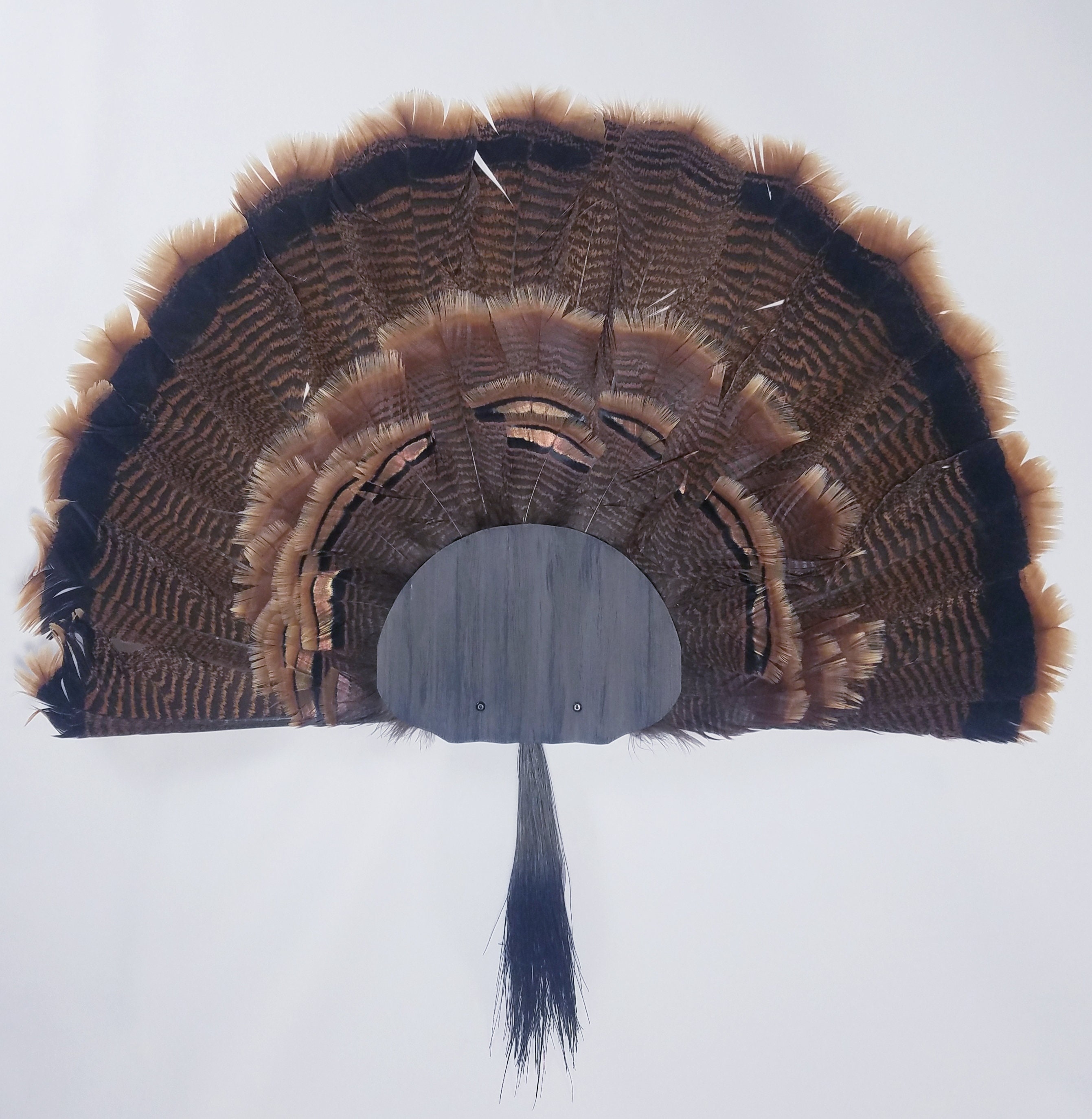 Turkey Fan and Beard Mounting Kit rustic Grey Etsy