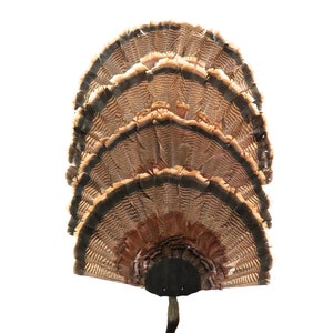 Turkey Fan Mounting Kit  4 Fan Display System Black Hammer