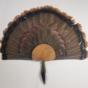 Kit di montaggio ventola Turchia Legno segato grezzo
