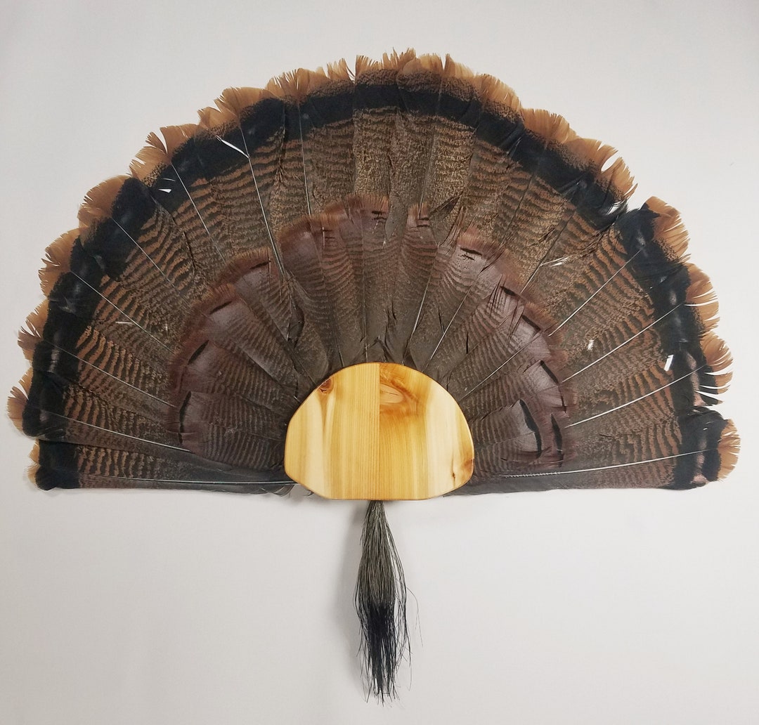 Turkey Fan Mounting Kit Cedar Etsy