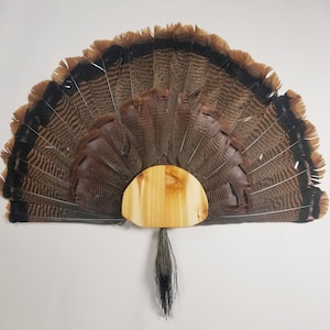 Turkey Fan Mounting Kit  Cedar