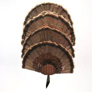 Turkey Fan Mounting Kit 4 Fan Display Copper image 1