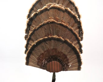 Turkey Fan Mounting Kit 4 Fan Display Copper