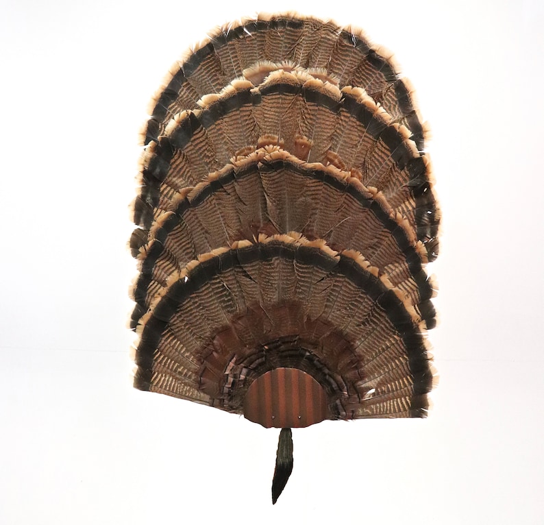 Turkey Fan Mounting Kit 4 Fan Display Copper Etsy