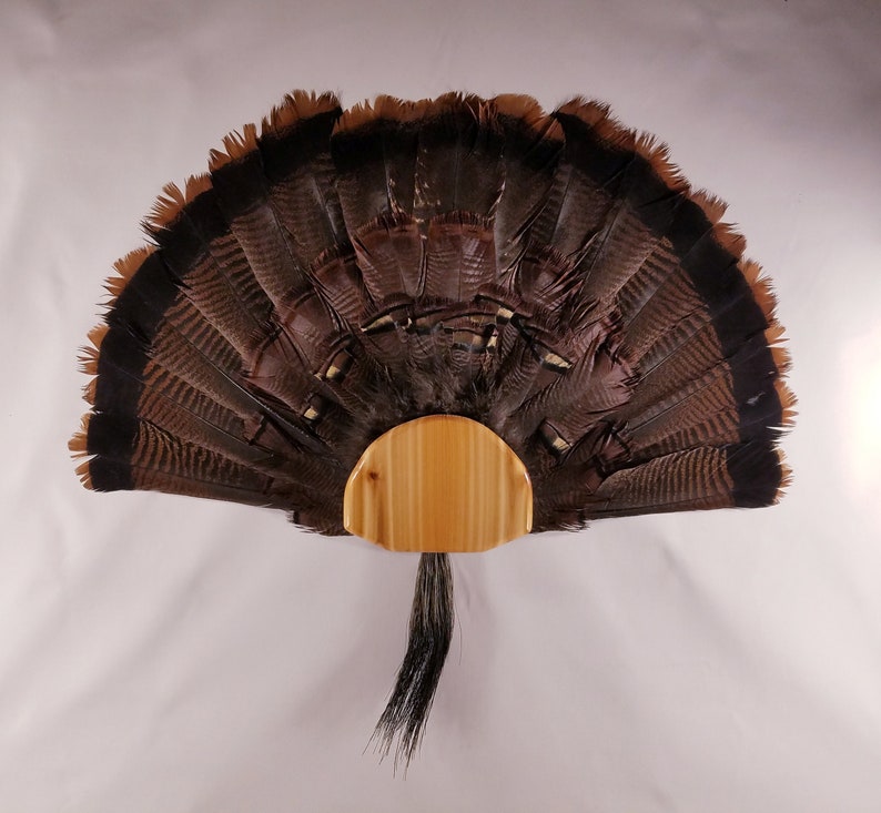 DIY Turkey Fan & Beard Display Kit Etsy