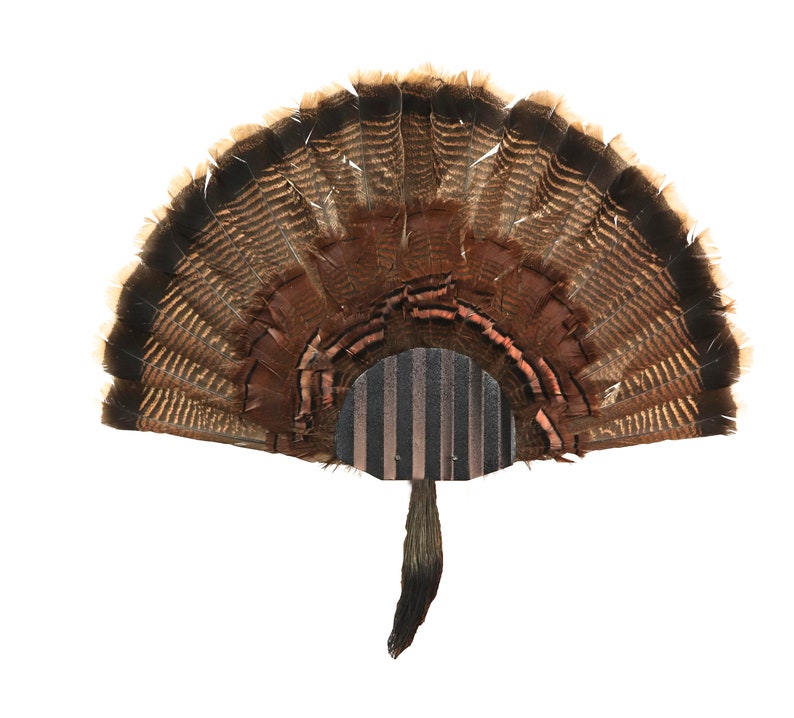 Turkey Fan Mounting Kit 4 Fan Display System Black Hammer image 2