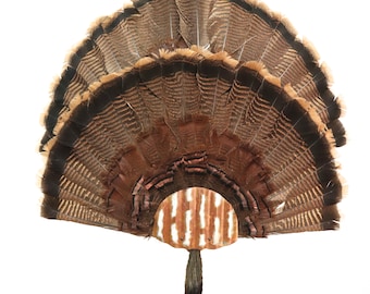 Turkey Fan Mounting Kit  1 to 2 Fan Display Rustic Tin