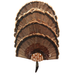 Turkey Fan Mounting Kit 4 Fan Display Rustic Tin with Beard Holder