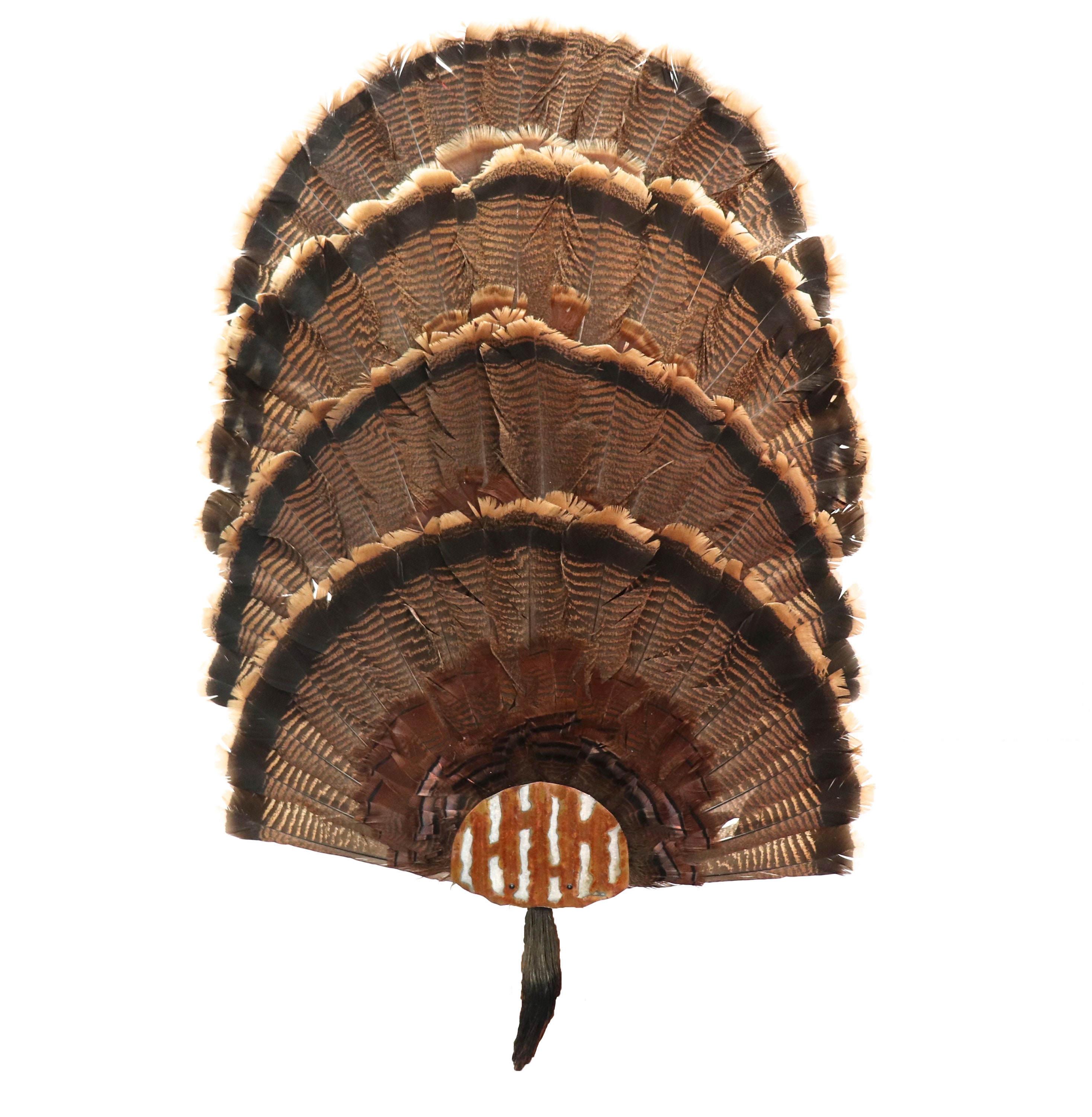 Multiple Fan Display System 4 Fan System Rustic Tin Turkey Fan Mounting Kit Multiple Fan Display System 4 Fan System Rustic Tin Turkey Fan Mounting Kit