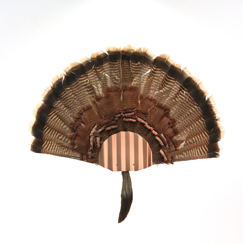 Turkey Fan Mounting Kit 4 Fan Display Copper image 2