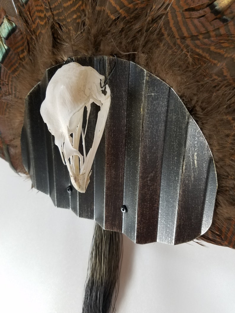 Turkey Fan and Beard Mount Kit with Skull Hangers Black Etsy