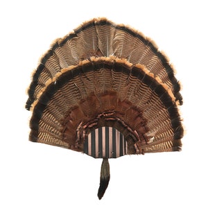 Turkey Fan Mounting Kit  1 to 2 Fan Display (Black)