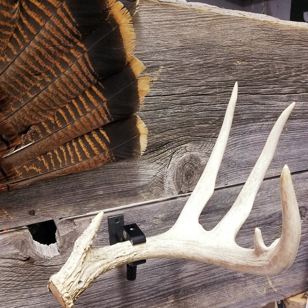 Shed Antler Mounting Clamp.