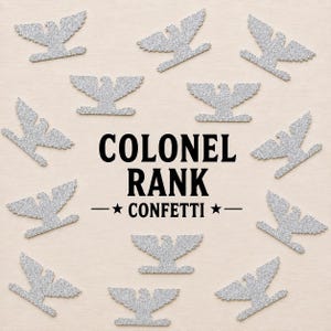 May include: A collection of silver glitter eagle-shaped confetti pieces arranged around the centered black text COLONEL RANK CONFETTI with two stars on either side of the word confetti, all set against a light beige background.